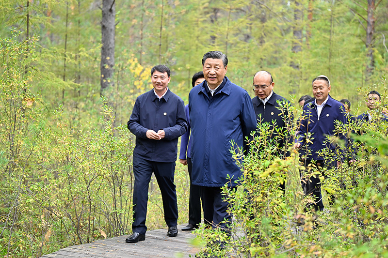 9月6日至8日，中共中央总书记、国家主席、中央军委主席习近平在黑龙江考察。这是6日下午，习近平在大兴安岭地区漠河市漠河林场自然林区考察